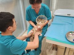 -美迦爱-牙专科·兔科·骨科诊疗中心(北苑店)