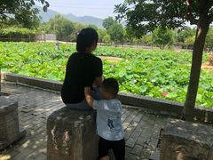 -长安上水缘度假庄园