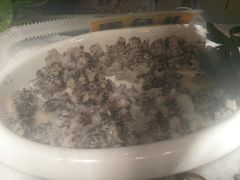 墨鱼头-银鲨海鲜烤肉火锅自助餐厅(五星店)