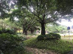-南宁南湖公园