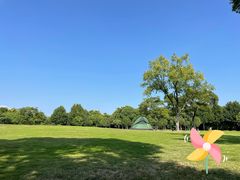 -上海吴淞炮台湾国家湿地公园