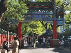 -北京国子监胡同