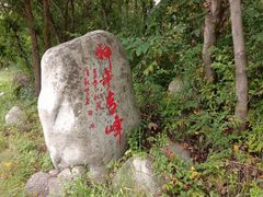 -青峰峡国家森林公园