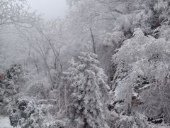 雪景-武当山风景区