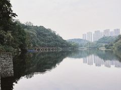 -重庆彩云湖湿地公园