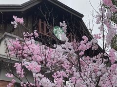 -星巴克臻选(思南公馆店)