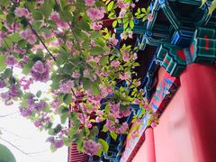 -石岛赤山风景区