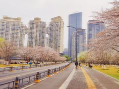 -西北湖绿化广场