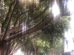 -四川名小吃·宜宾燃面(鼓新路店)