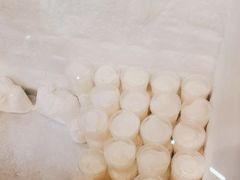 -洪馨椰子