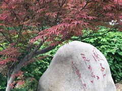 -洛阳市隋唐城遗址植物园