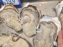 -今鲜源酒店·海鲜锅贴青岛菜(新湛路店)