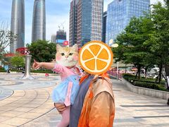 -合景·悠方(成都店)