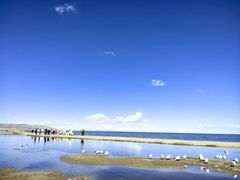 -青海湖国家重点风景名胜区