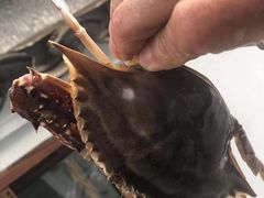 -阿杰臻选海鲜饭店(普陀山店)