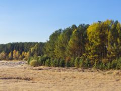 -塞罕坝国家级自然保护区