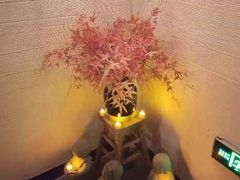 -Dragonfly悠庭·按摩Spa(静安嘉里中心店)