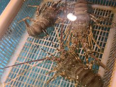 -拉完海鲜大排档(温岭店)