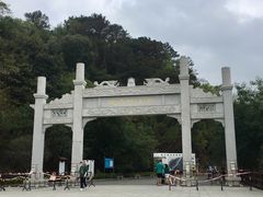 -羚羊峡古栈道森林公园