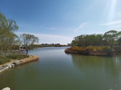 -大兴滨河森林公园