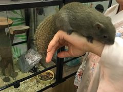 -藦茜花园宠物主题亲子互动体验馆(国顺东路店)