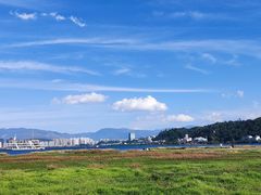 -洱海月湿地公园