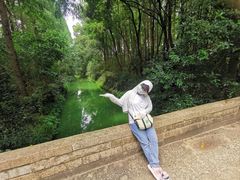 -同里国家湿地公园