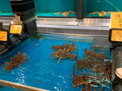 水产区-万宝海鲜舫(劳动公园店)
