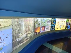 -上海昆虫博物馆