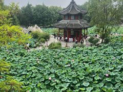 -莲池书院博物馆