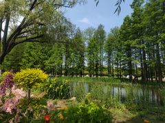 -上海共青森林公园