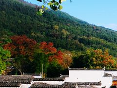 -塔川景区