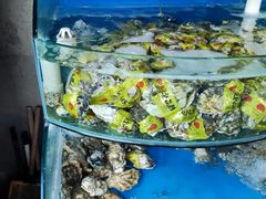-蓝珊甄选海鲜自助·火锅大排档(近阿那亚店)