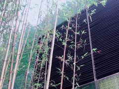 -北京瑜舍