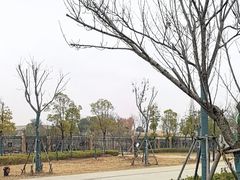 -盘龙城国家考古遗址公园