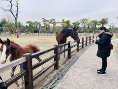 -珠海海泉湾神秘岛亲子乐园