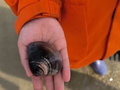 -北海金海湾红树林生态旅游区