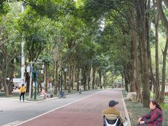 -南宁南湖公园