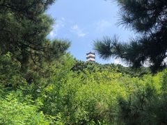 -蟒山国家森林公园天池停车场