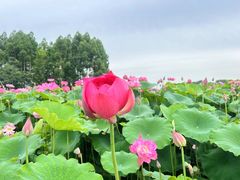 -天府广场