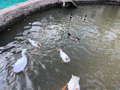 -南宫五洲植物乐园