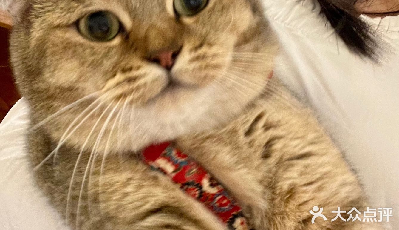 南宁咖啡丨超级可爱的居民楼小店🫡有猫!