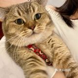 南宁咖啡丨超级可爱的居民楼小店🫡有猫!