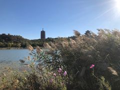-永定河休闲森林公园