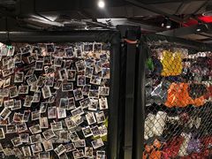 -威尔仕健身(虹桥南丰城店)