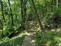 -上海佘山国家森林公园天马山园