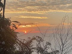 -缙云山景区
