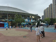 -海合安成都极地海洋公园