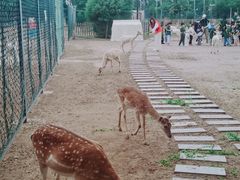-北京麋鹿生态实验中心
