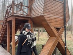 -黄海国家森林公园